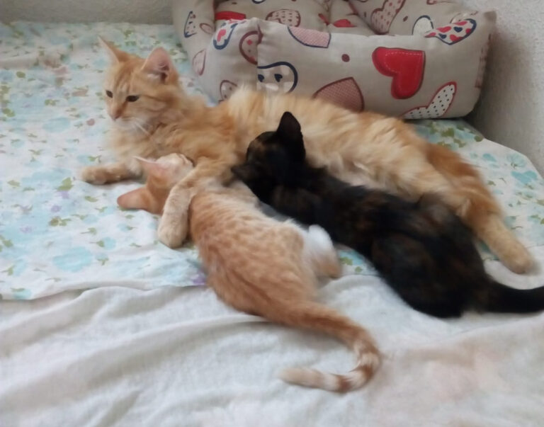 multimedia-foto50502-88-1