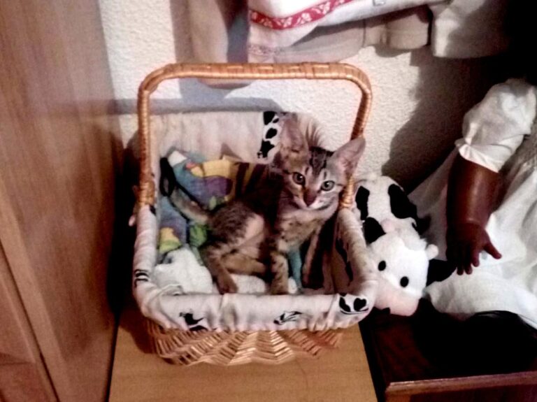 multimedia-foto50507-230-1