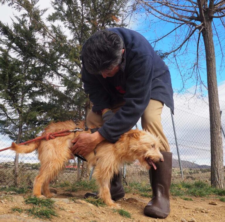 multimedia-foto50582-153-1