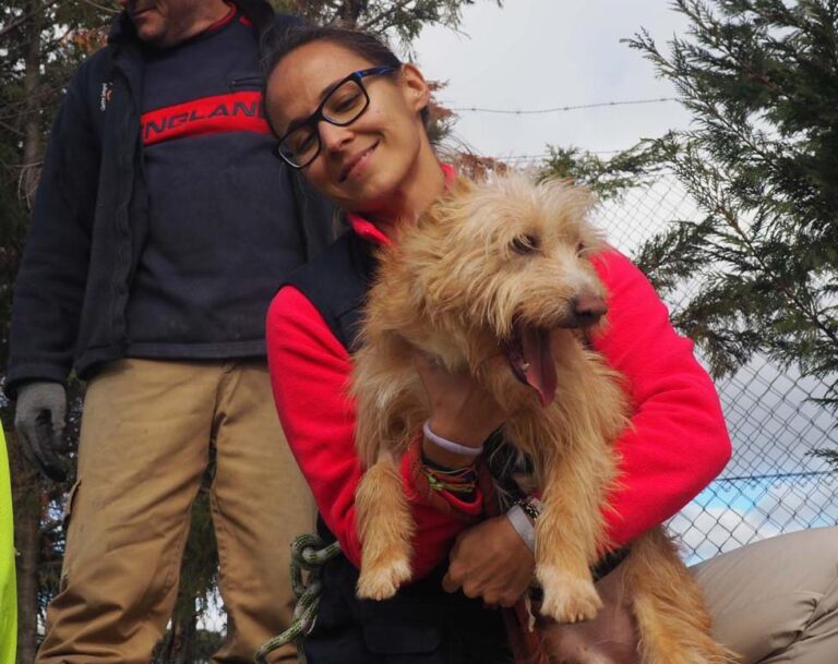 multimedia-foto50583-153-1