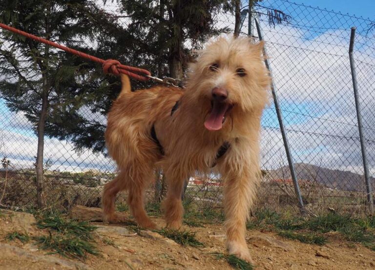 multimedia-foto50584-153-1