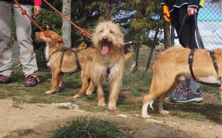 multimedia-foto50585-154-1