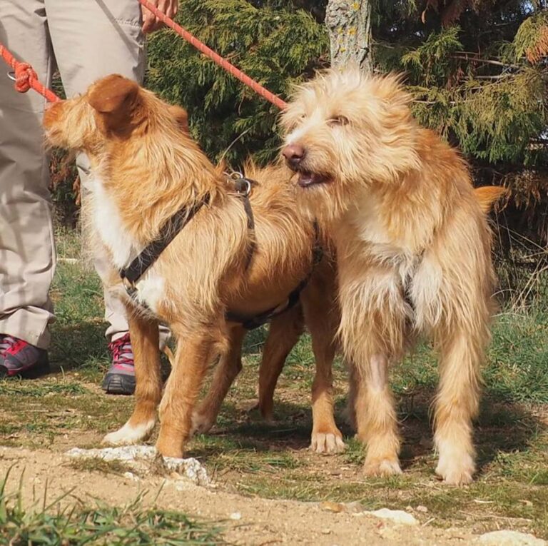 multimedia-foto50586-154-1