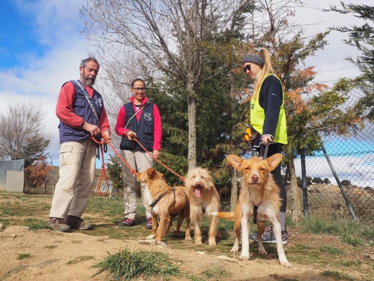 multimedia-foto50587-154-1