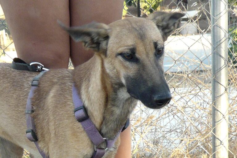 multimedia-foto50697-81-1