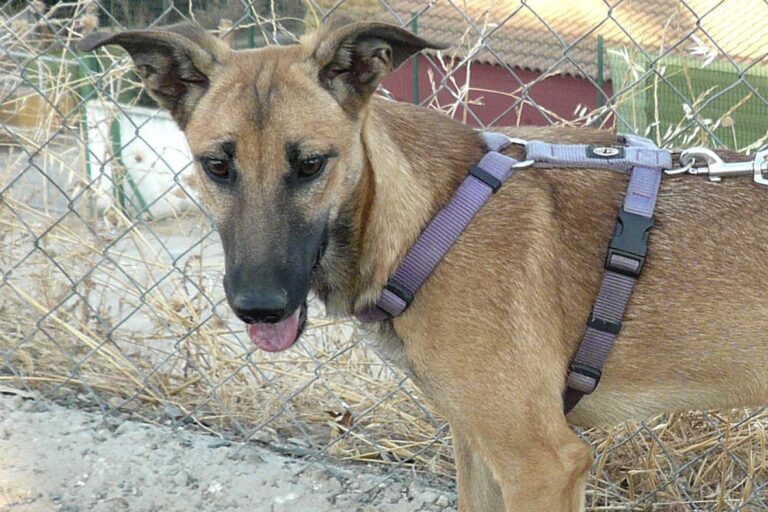 multimedia-foto50698-81-1