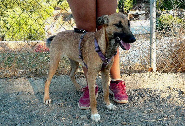 multimedia-foto50699-81-1