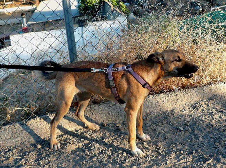 multimedia-foto50700-81-1