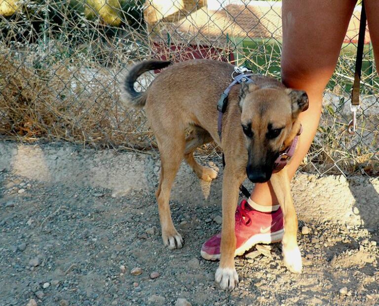 multimedia-foto50701-82-1