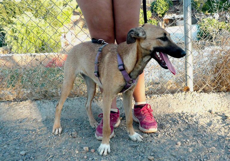 multimedia-foto50702-82-1