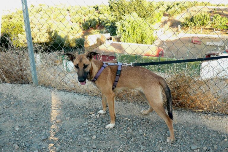 multimedia-foto50703-82-1