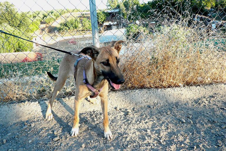 multimedia-foto50704-82-1