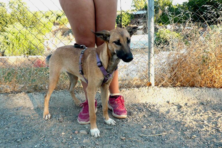 multimedia-foto50705-83-1