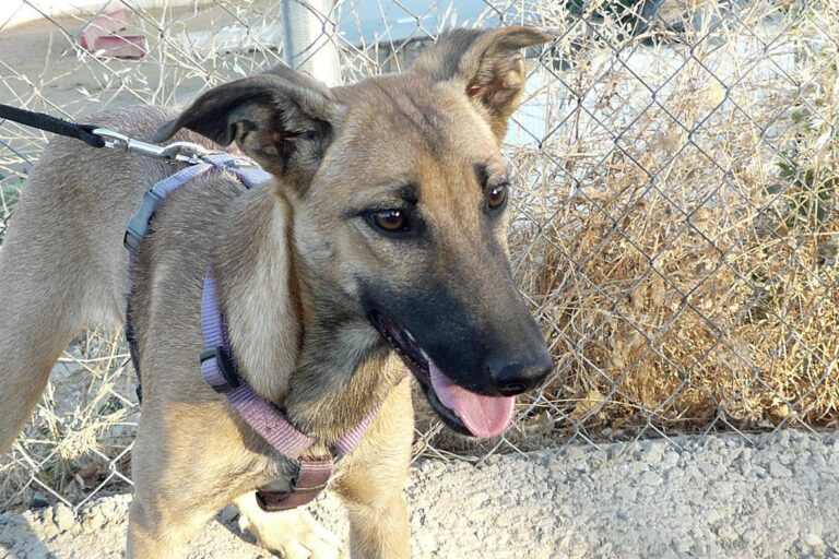 multimedia-foto50706-83-1