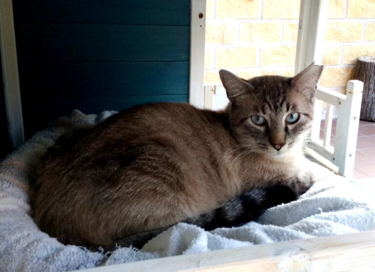 multimedia-foto50828-25-1