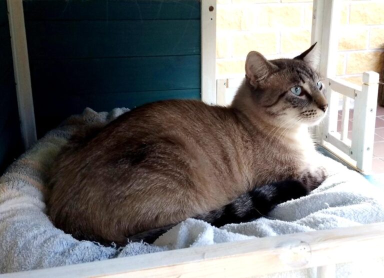 multimedia-foto50829-26-1