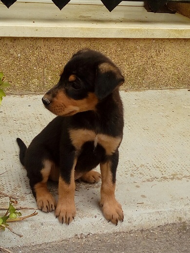 multimedia-foto50840-369-1