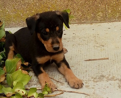 multimedia-foto50841-369-1