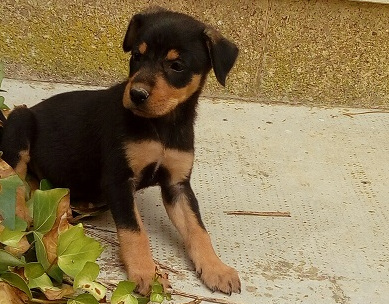 multimedia-foto50843-370-1