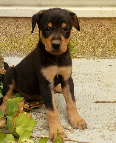 multimedia-foto50844-370-1