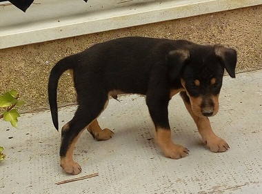 multimedia-foto50845-370-1