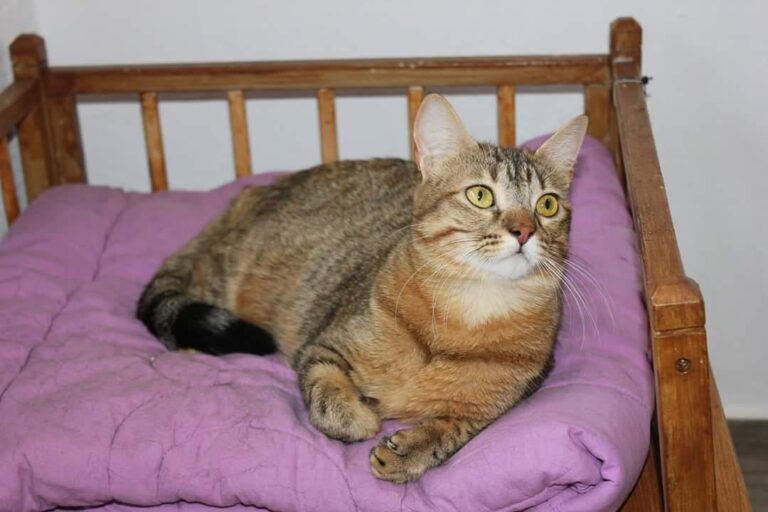 multimedia-foto50973-702-1