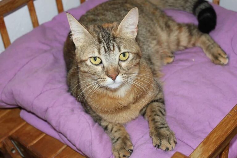 multimedia-foto50977-703-1