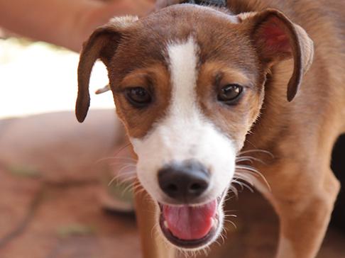 multimedia-foto50994-869-1