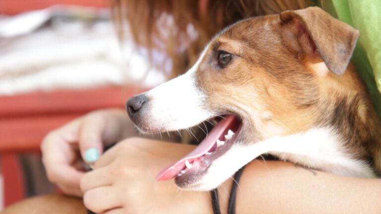 multimedia-foto50995-869-1