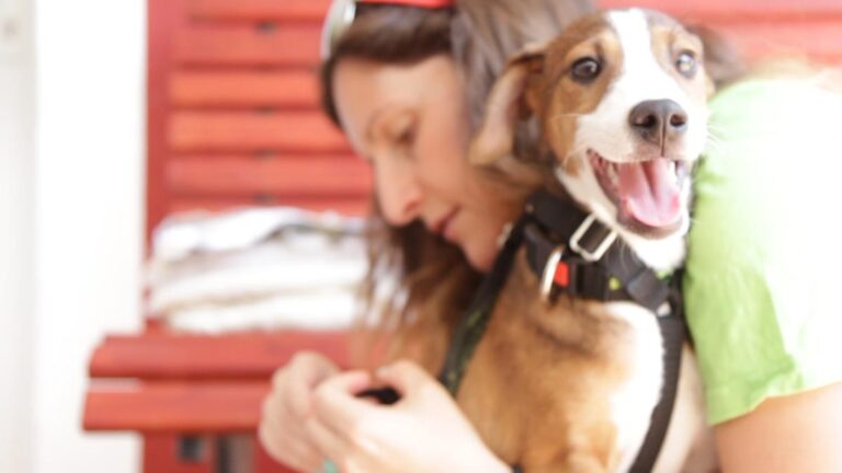 multimedia-foto50996-870-1