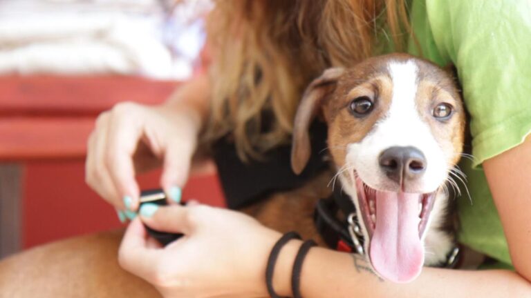 multimedia-foto50997-870-1