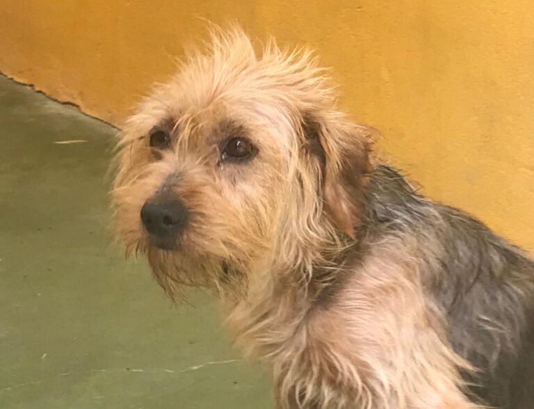 multimedia-foto51004-530-1