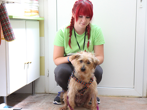 multimedia-foto51006-531-1