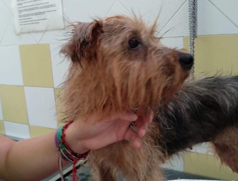 multimedia-foto51080-711-1