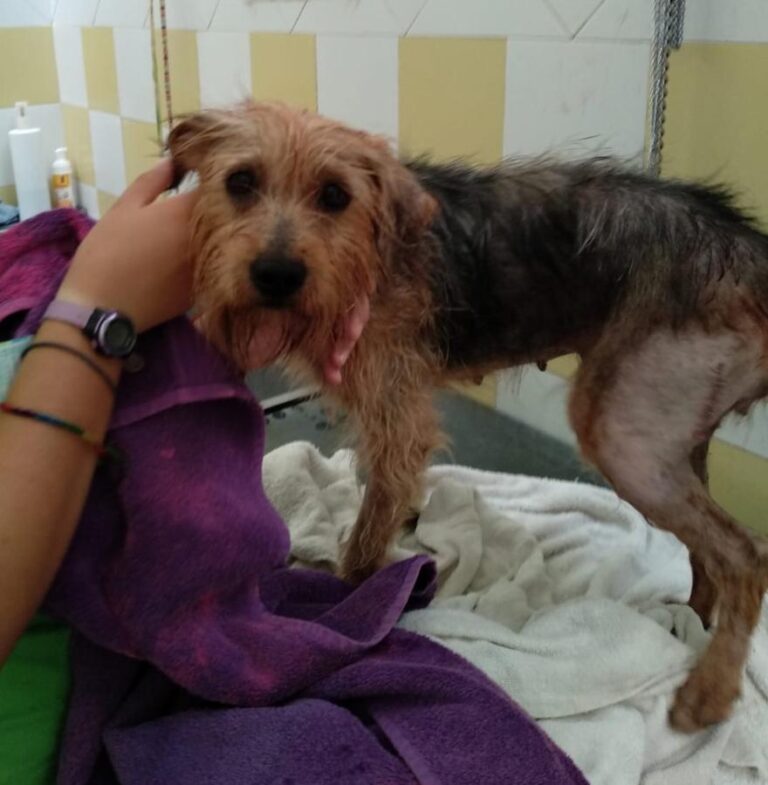 multimedia-foto51081-711-1