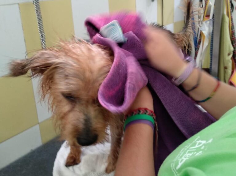 multimedia-foto51082-711-1