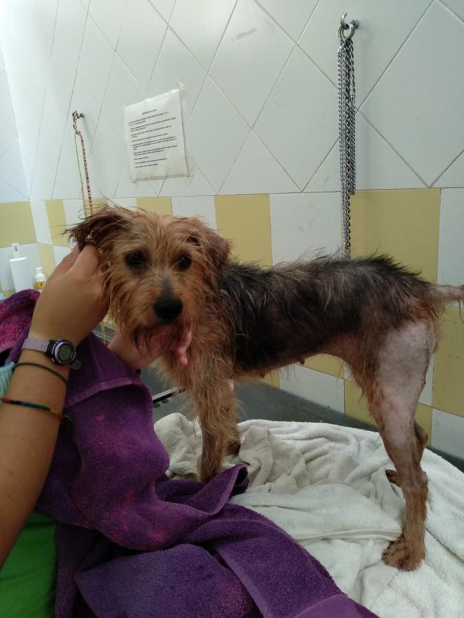 multimedia-foto51083-712-1