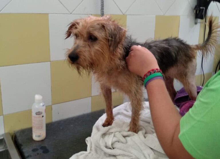 multimedia-foto51084-712-1