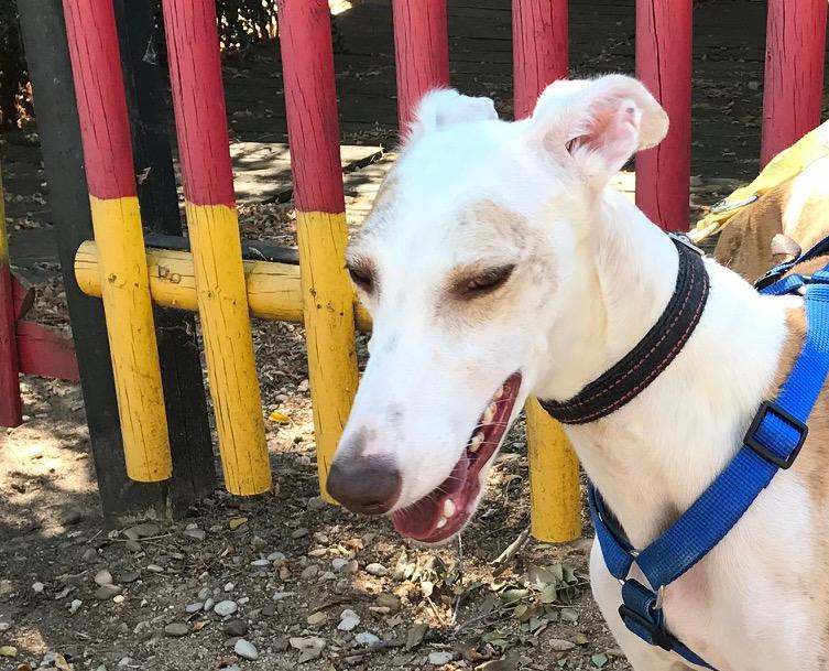 multimedia-foto51086-954-1