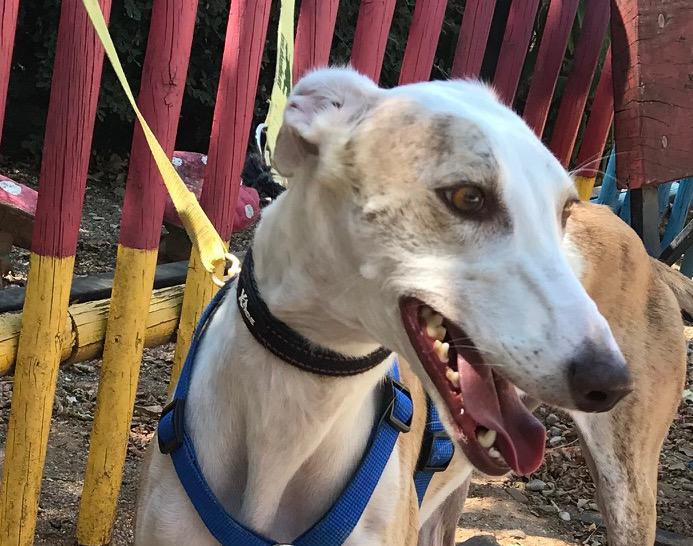 multimedia-foto51088-954-1