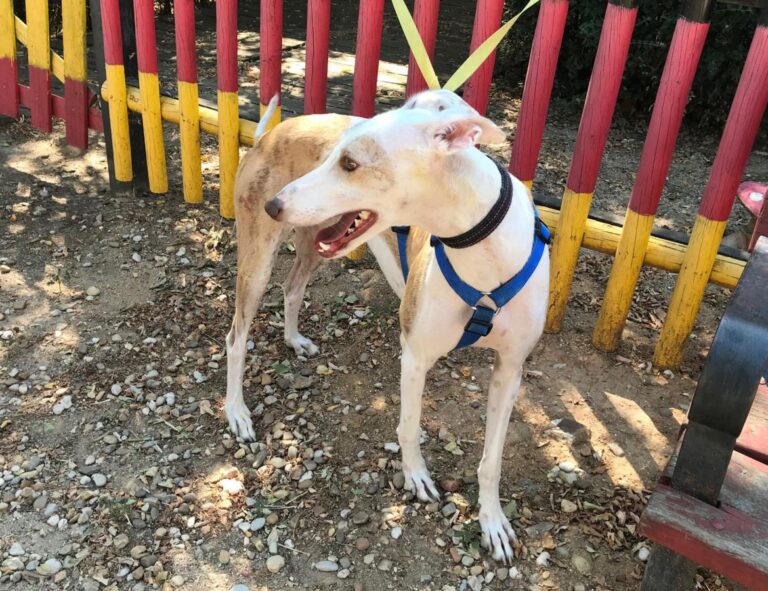 multimedia-foto51091-955-1