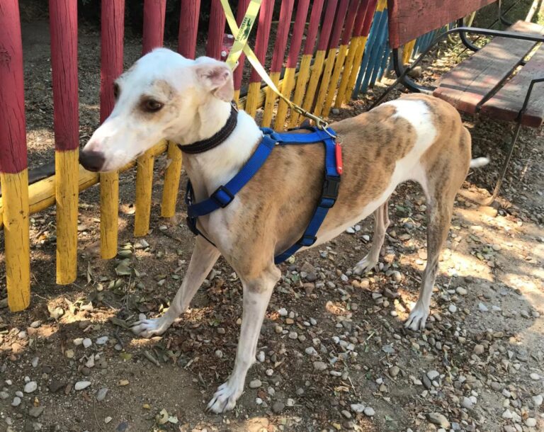 multimedia-foto51092-955-1