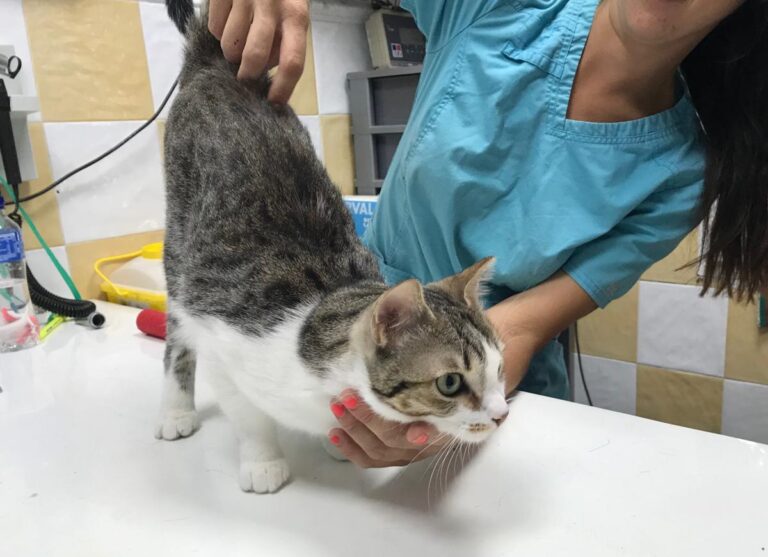 multimedia-foto51116-49-1