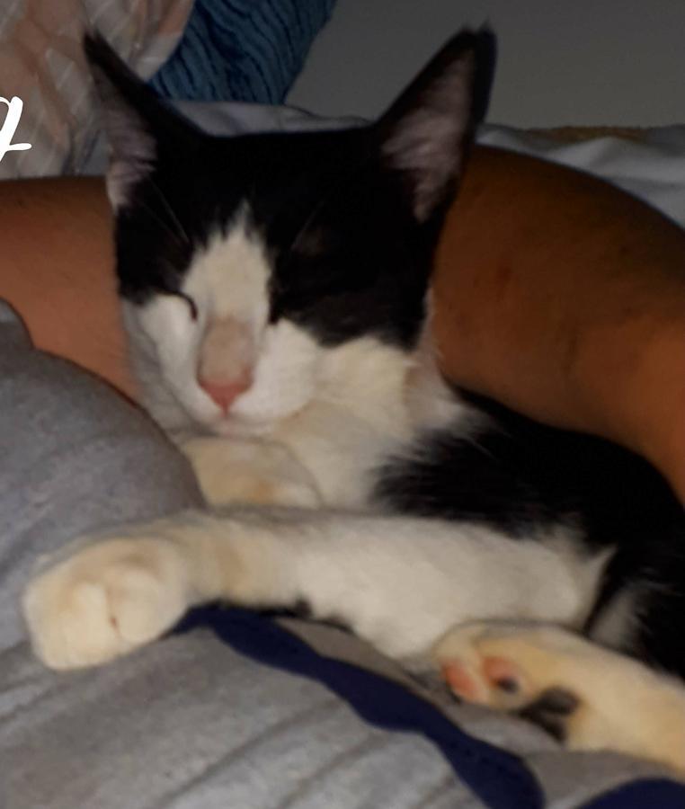 processed by AtomJPEG  1.5