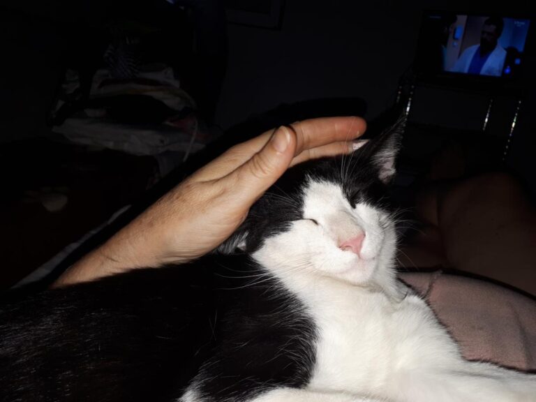 multimedia-foto51166-872-1