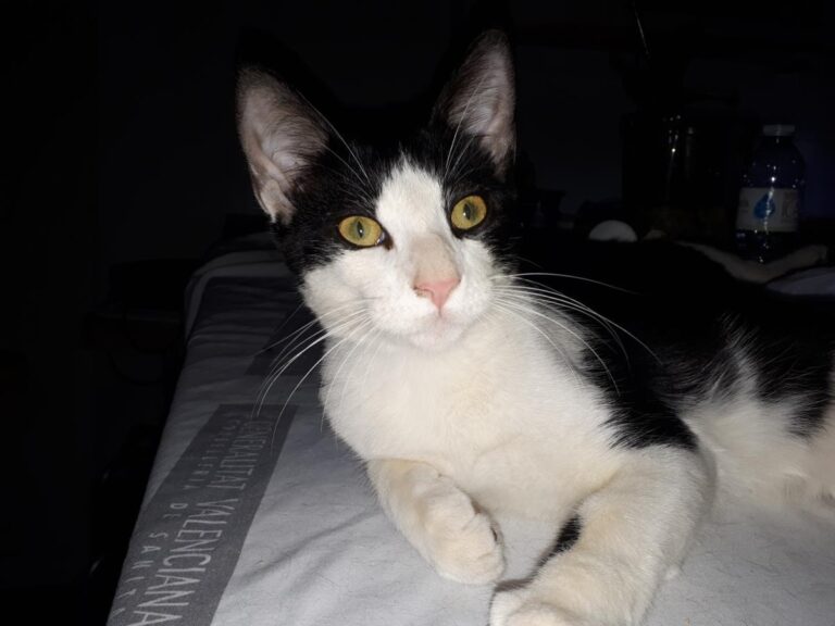 multimedia-foto51168-873-1