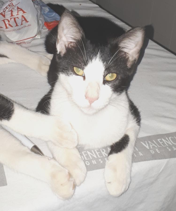 multimedia-foto51169-873-1