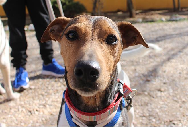 multimedia-foto51170-419-1