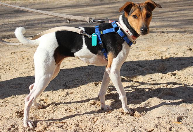 multimedia-foto51172-420-1