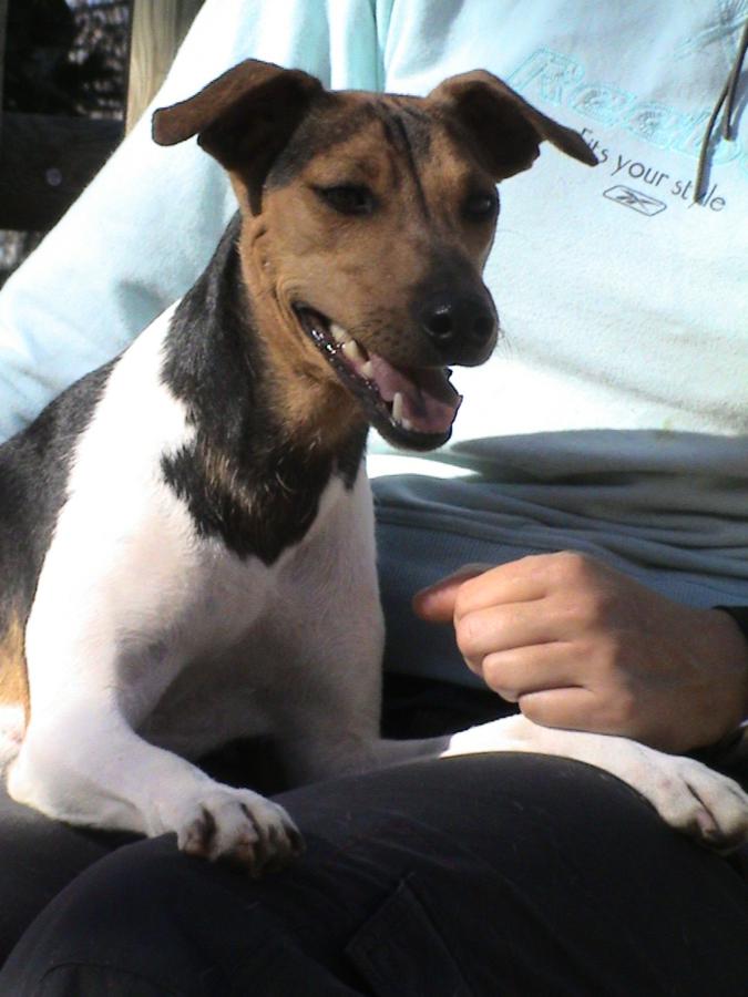 multimedia-foto51173-420-1